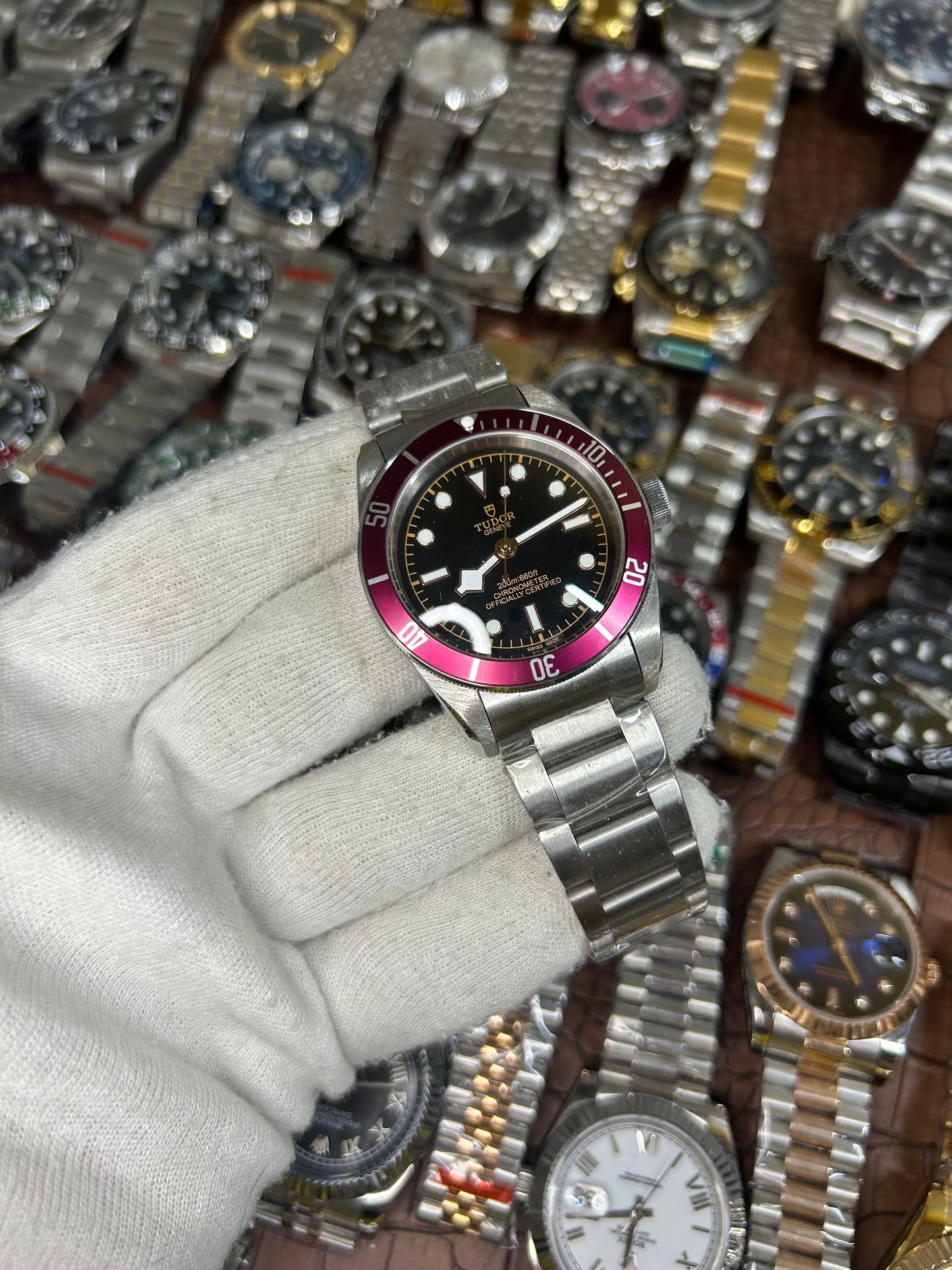 Tudor bb